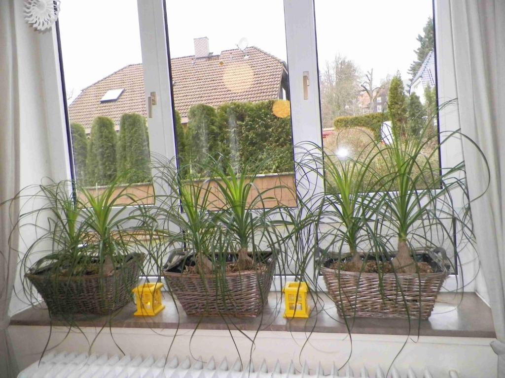 Landhaus Irmgard برونلاغ المظهر الخارجي الصورة
